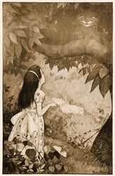 Diesmal verschwand es ganz langsam (Illustration aus 